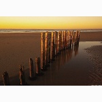 Posts on the beach at West Wittering